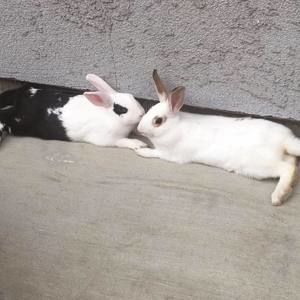 Meet your Posher, Soraya